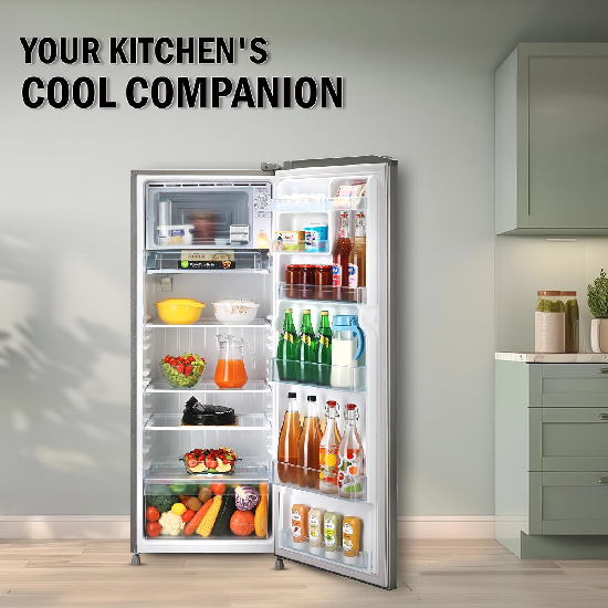 LG 261 L 3 Star Inverter Single Door RefrigeratorGL-B281BPZX