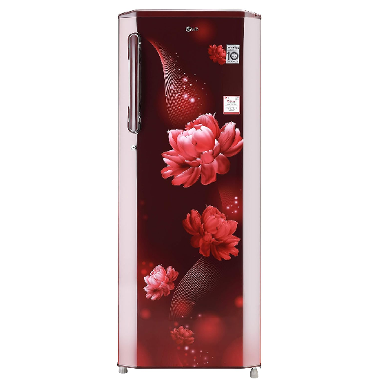 LG 261 L 3 Star Inverter Single Door Refrigerator GL-B281BSCX