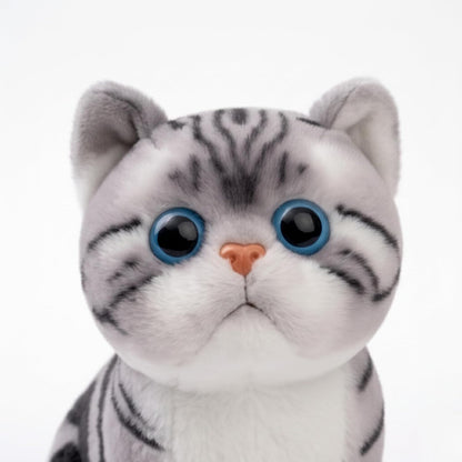 Cat Teddy Bear