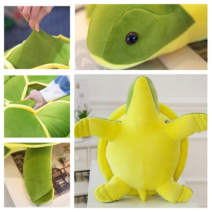 Turtle Soft Toys for Kids Small