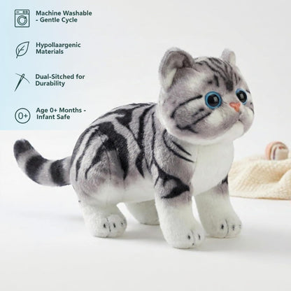Cat Teddy Bear