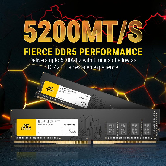Ant Esports 690 NEO FP 16GB (1 * 16GB) DDR5 5200 MHz