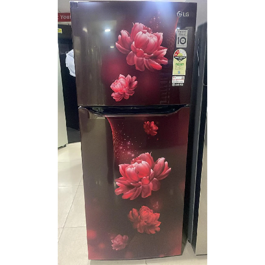 LG GL-N292BSCY 242L, 2 Star  Double Door Refrigerator