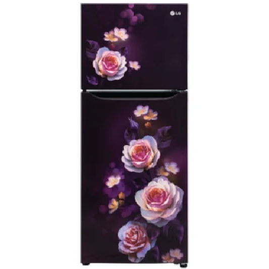 LG GL-N292DPBY 242 L, 2 Star Double Door Refrigerator