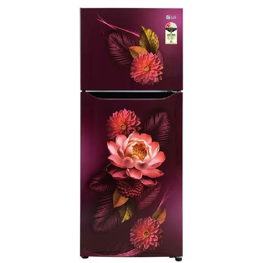 LG 240L Double Door Refrigerator Red Water Lily, 2 Star