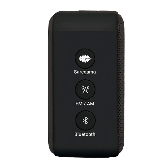 Saregama carvaan SCM02 Mini Bluetooth Speaker
