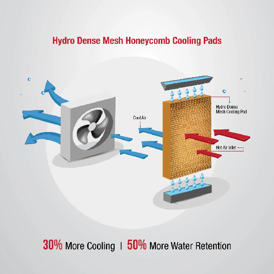 JETT Honey Comb 51 Litres Personal Desert Cooler (White)