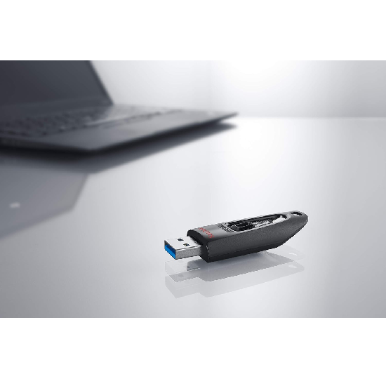 SanDisk Ultra USB 3.0 Flash Drive (SDCZ48-256G-U46)