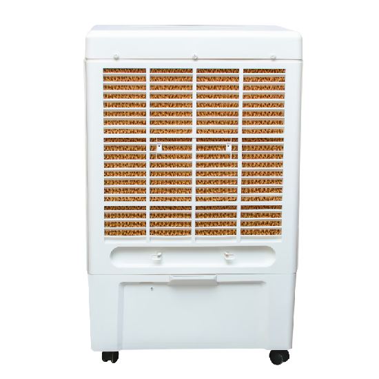 BPL DESERT COOLER 65LBCD065DGC