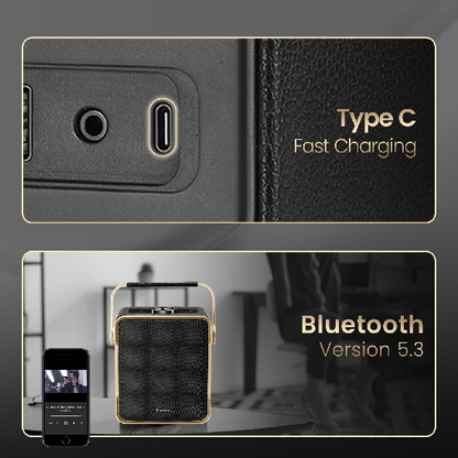 Portronics Harmony II 60W HD Sound Portable Bluetooth 5.3V Speaker